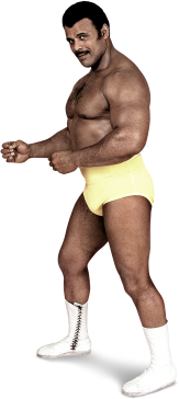 Rocky Johnson